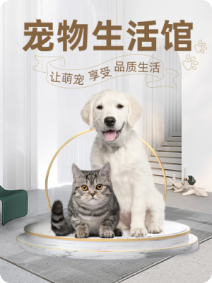 宠物设计模板图片