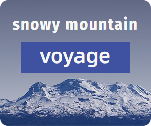 YouTube视频覆盖广告