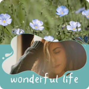 Facebook帖子设计